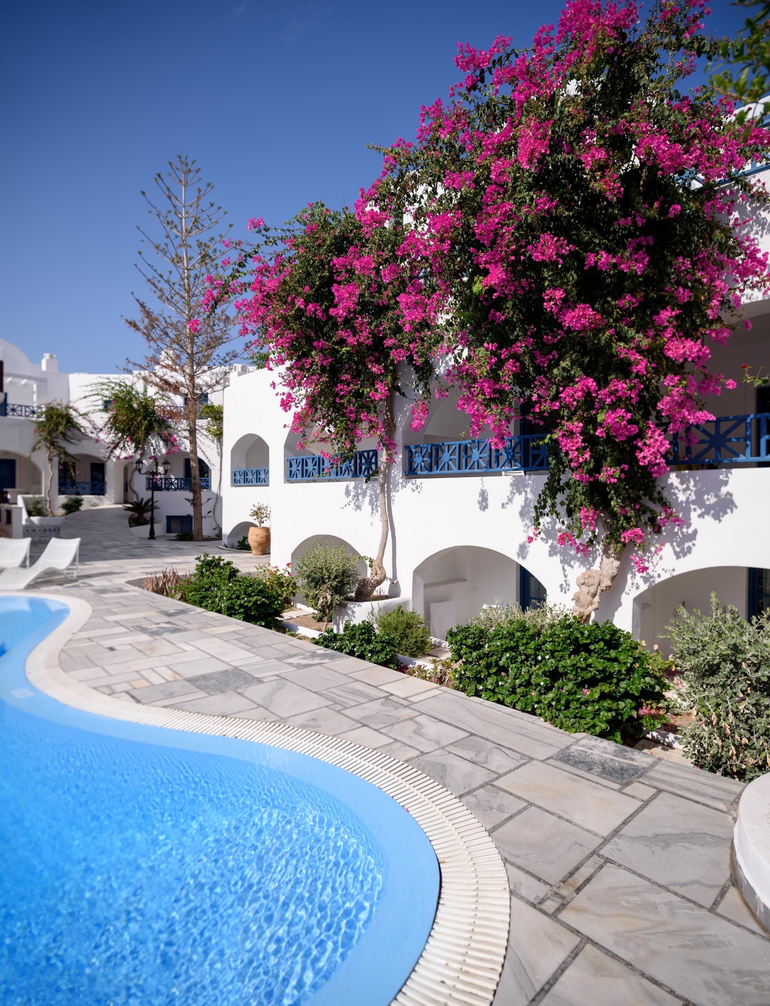 A poolside area with a clear blue pool, white buildings with blue accents, and pink flowering trees.