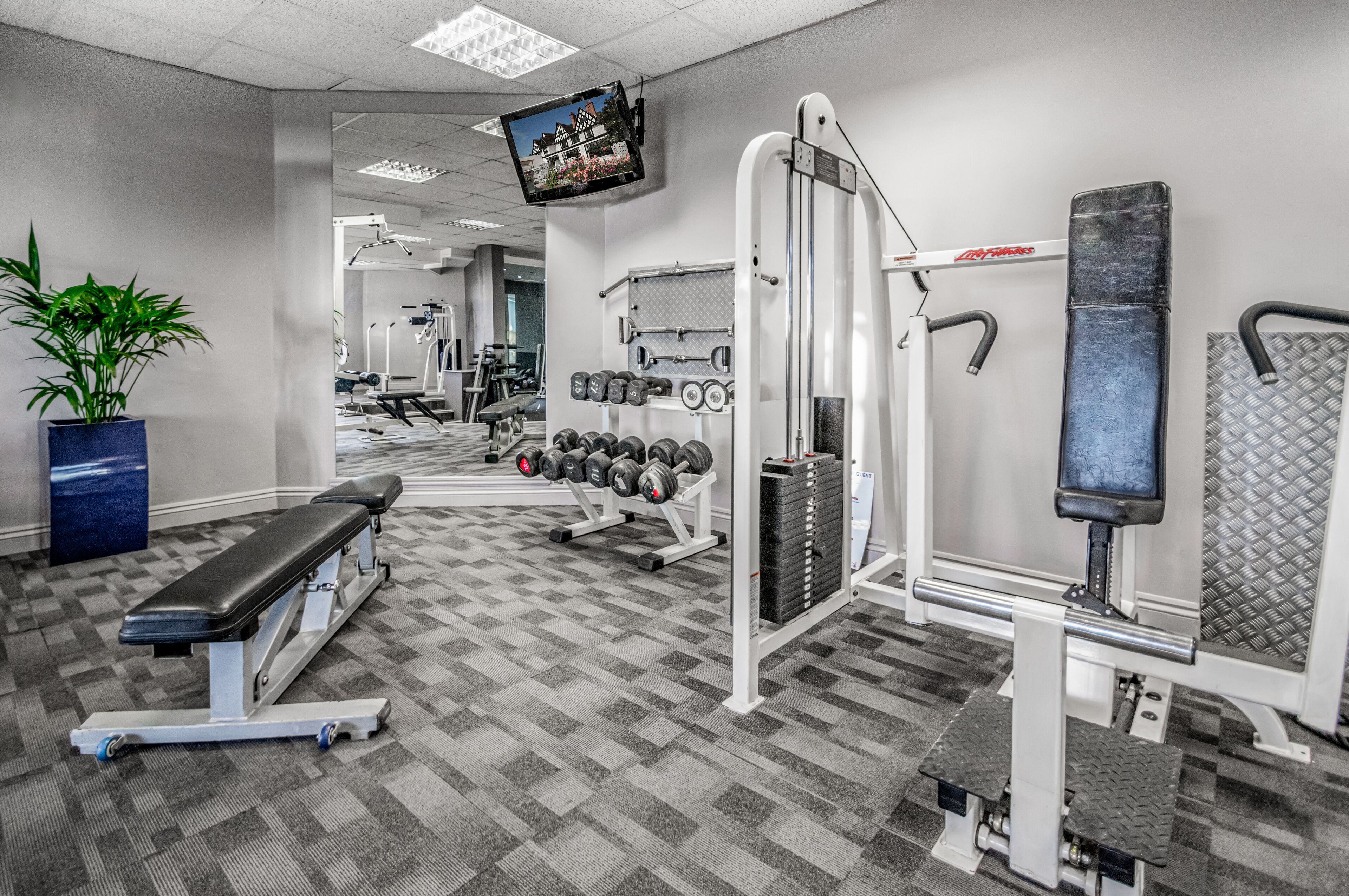 Un gimnasio con equipo de ejercicio, un televisor y una planta en maceta.