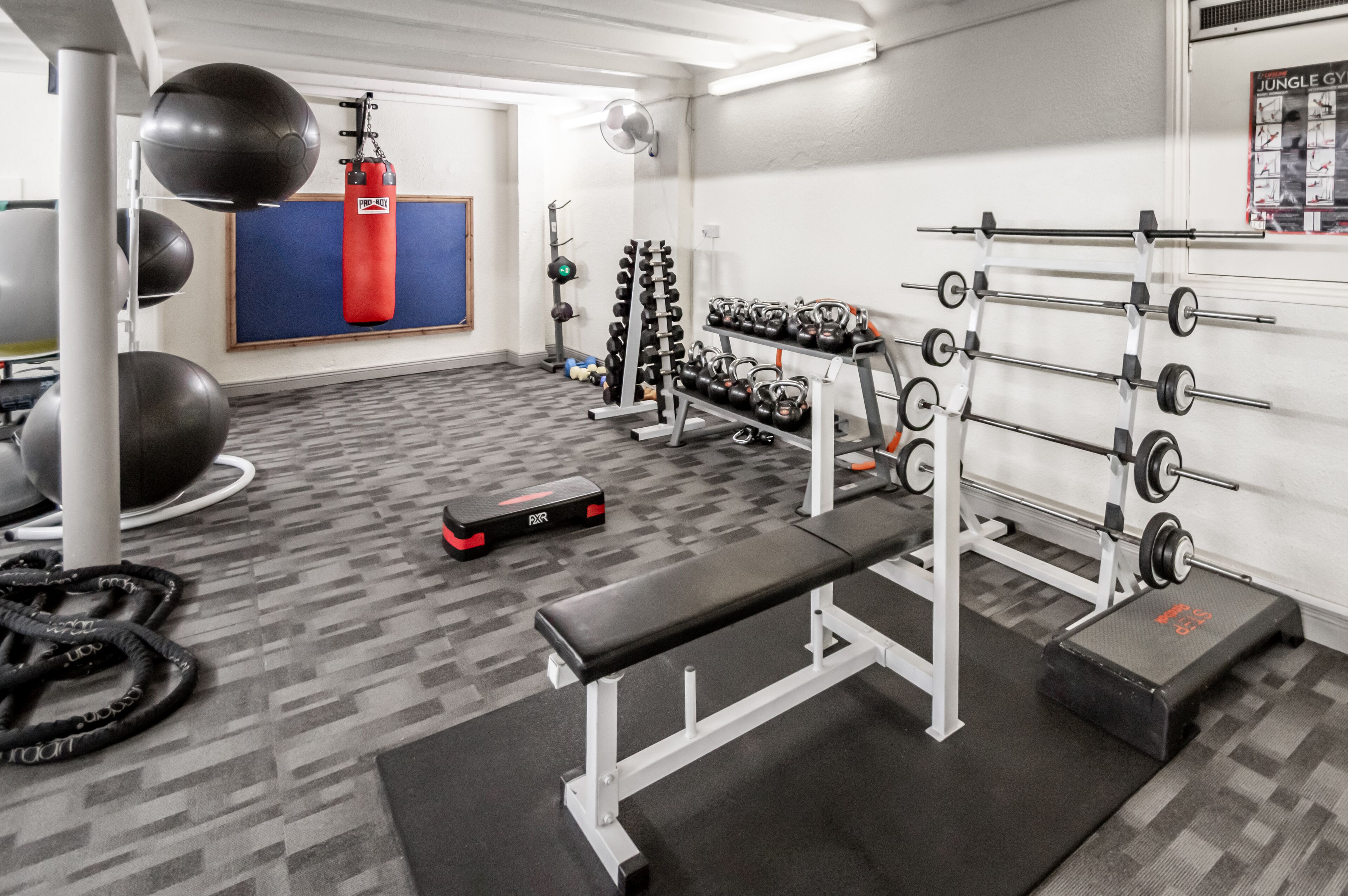 Een sportschool met een bank, gewichtrekken en fitnessballen.