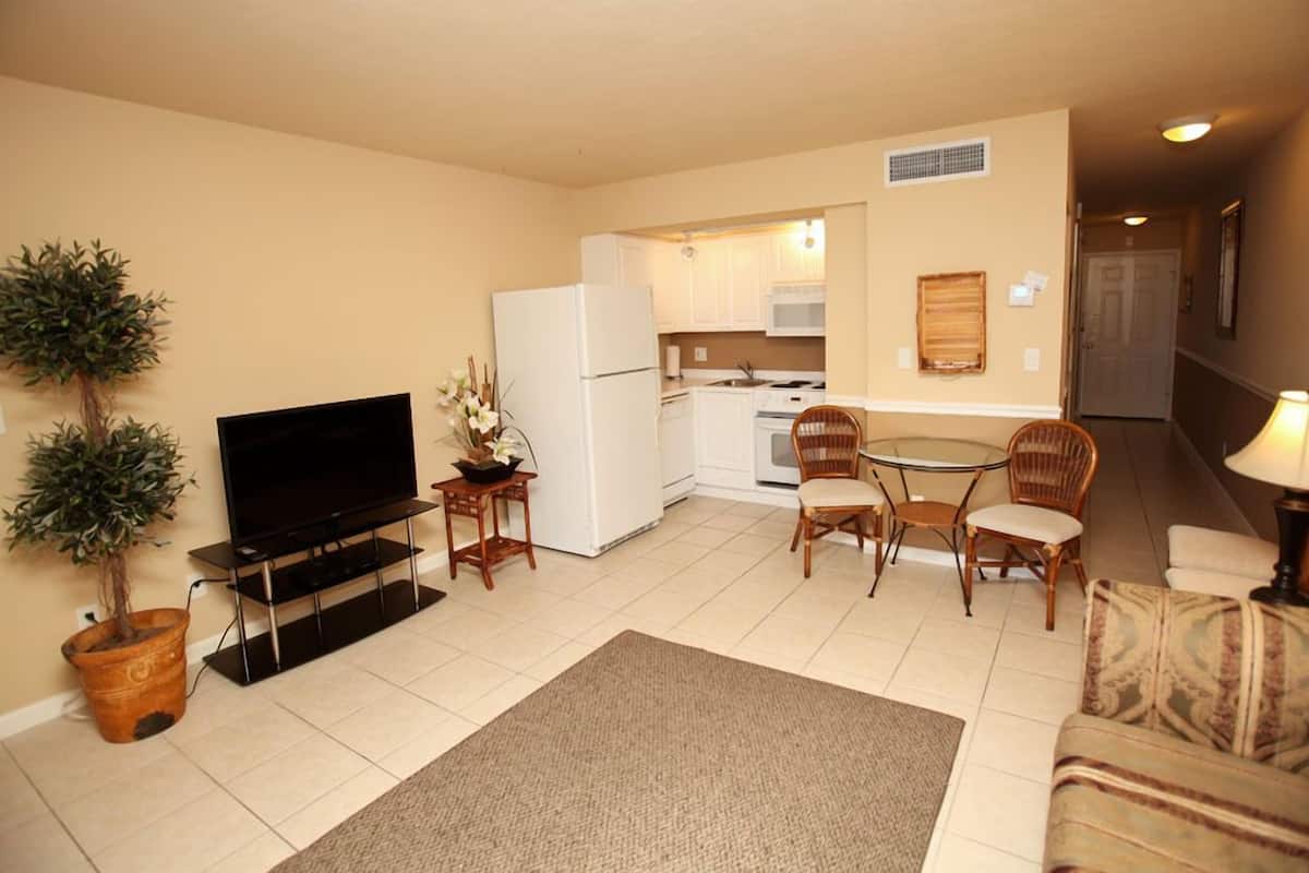 A compact living space with a flat-screen TV, a dining area with two chairs, a kitchen in the background, and a potted plant.