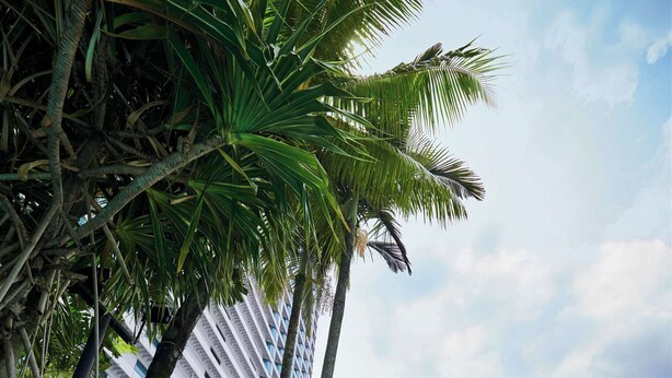 A water slide in a pool area with palm trees and a building in the background. - Hilton Kuala Lumpur (Kuala Lumpur)