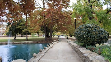 Lago
