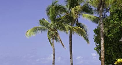 Hilton Mauritius Resort & Spa