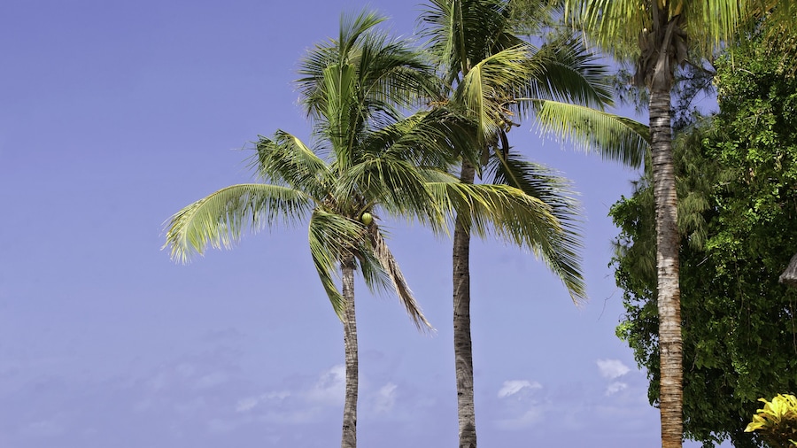 Hilton Mauritius Resort & Spa