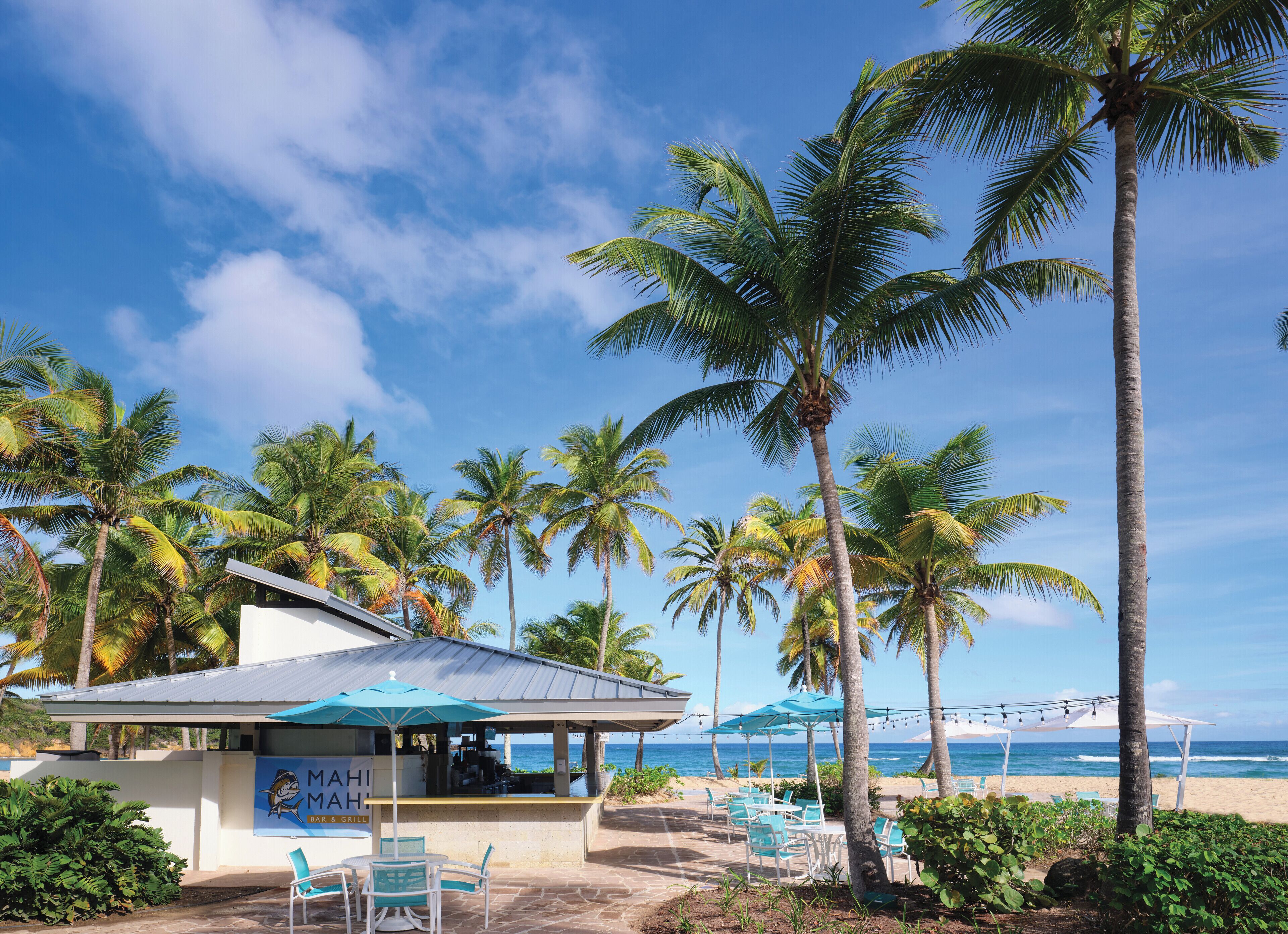 A beachfront bar with outdoor seating and palm trees.