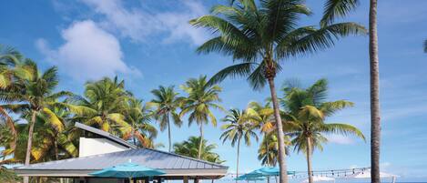 A beachfront bar with outdoor seating and palm trees.