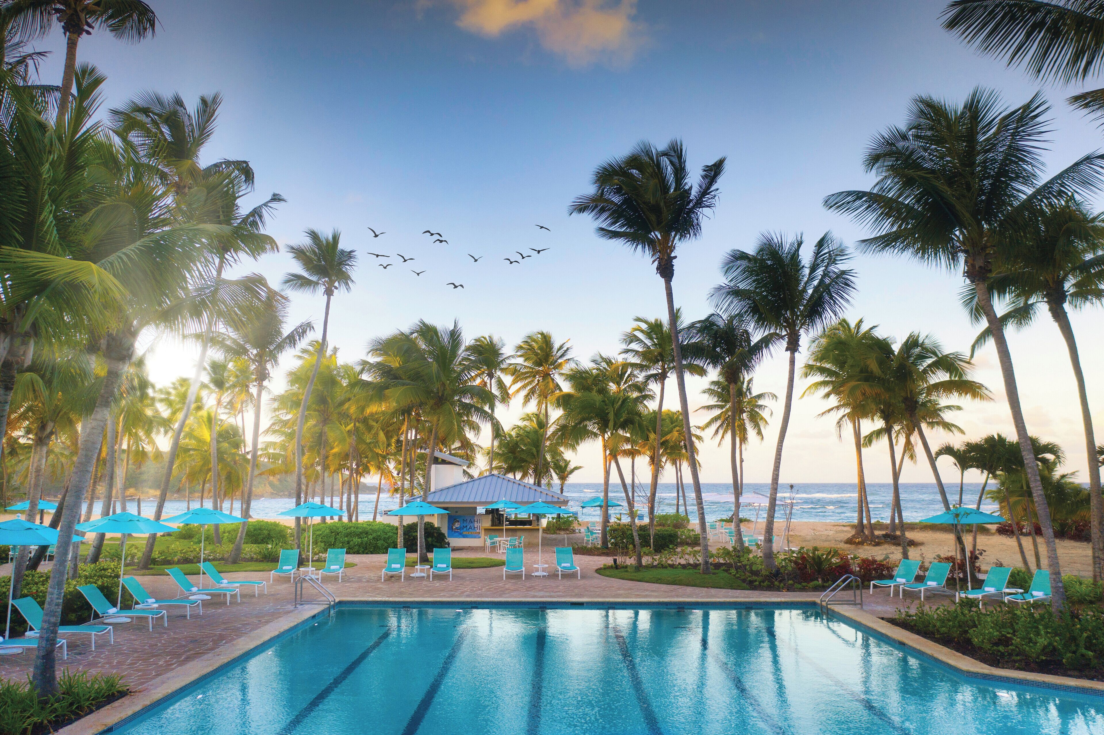 outdoor pool, pool loungers