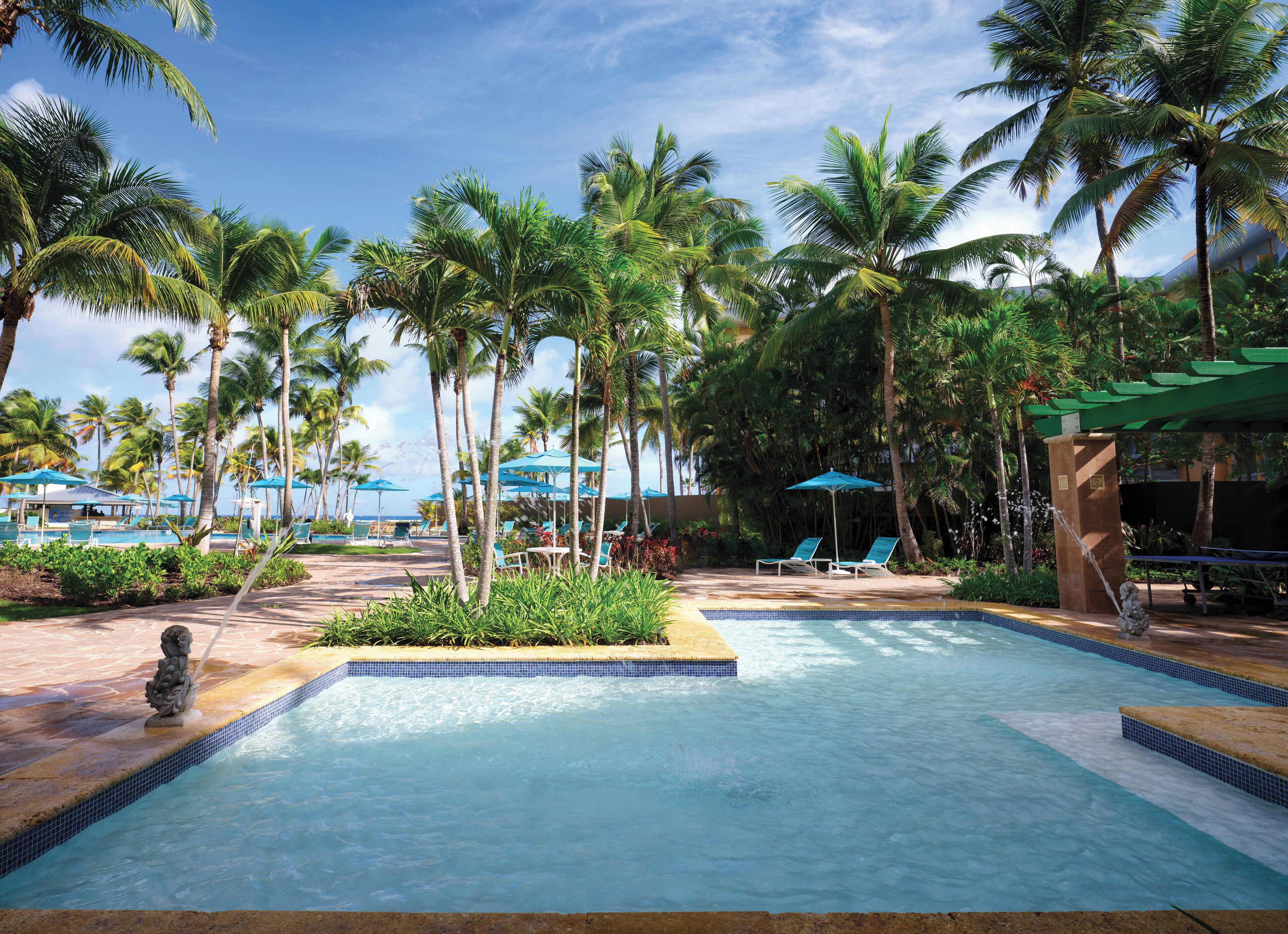 outdoor pool, pool loungers