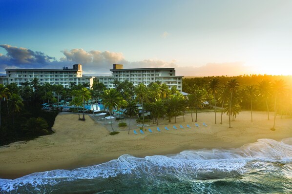 Ein Strandhotel mit Poolbereich, Palmen und Liegestühlen.