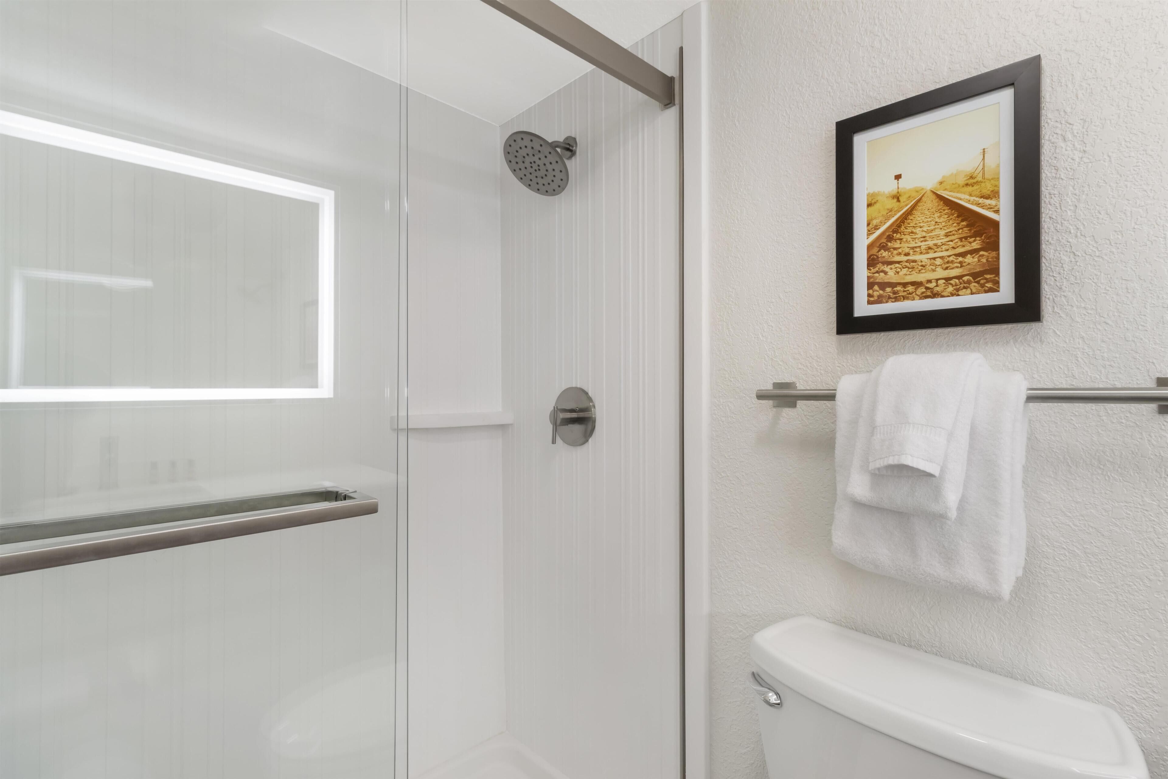 A modern bathroom with a glass shower enclosure, a white toilet, and a framed picture on the wall.