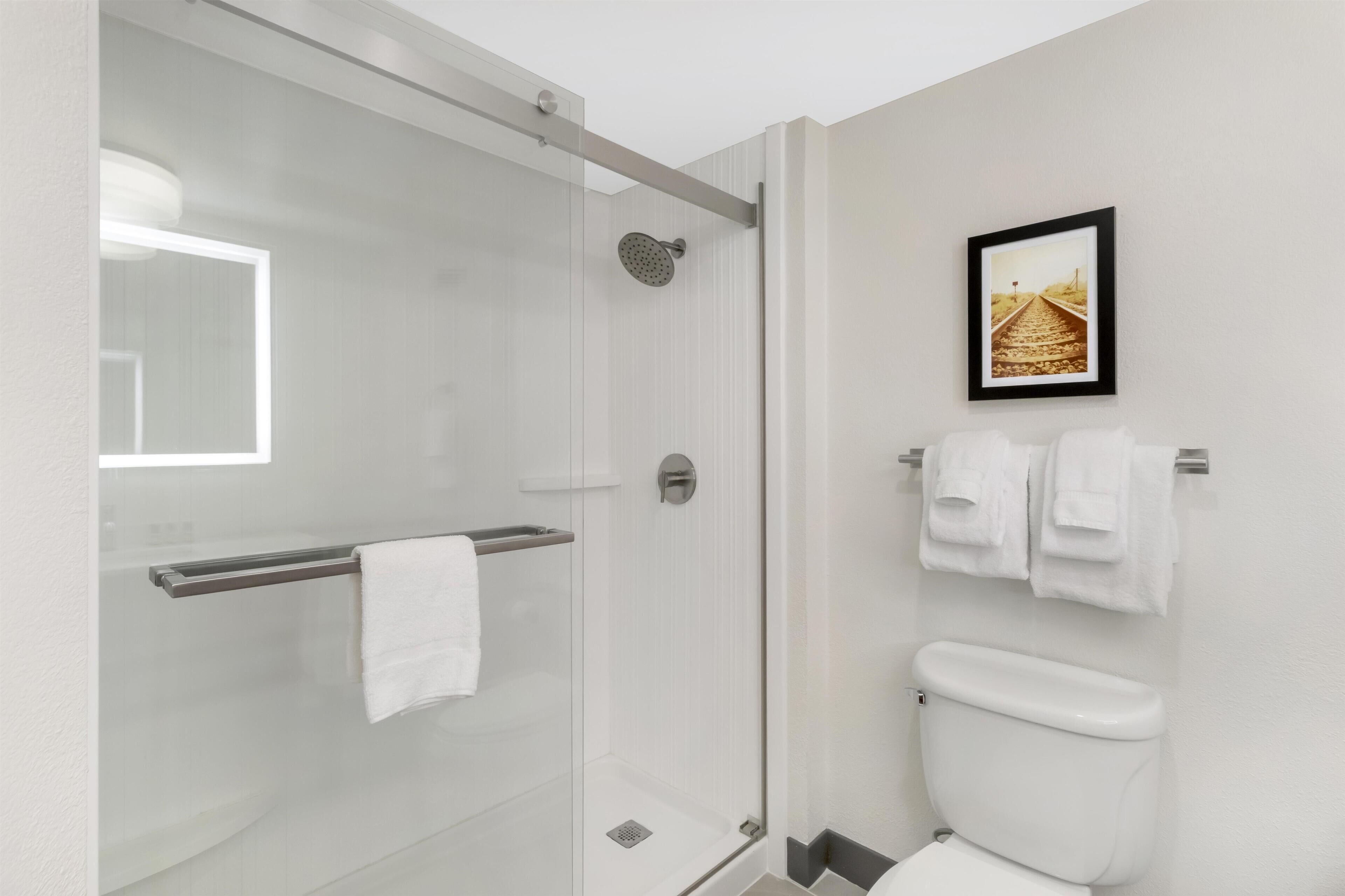 A modern bathroom with a glass-enclosed shower, a toilet, and a framed picture on the wall.