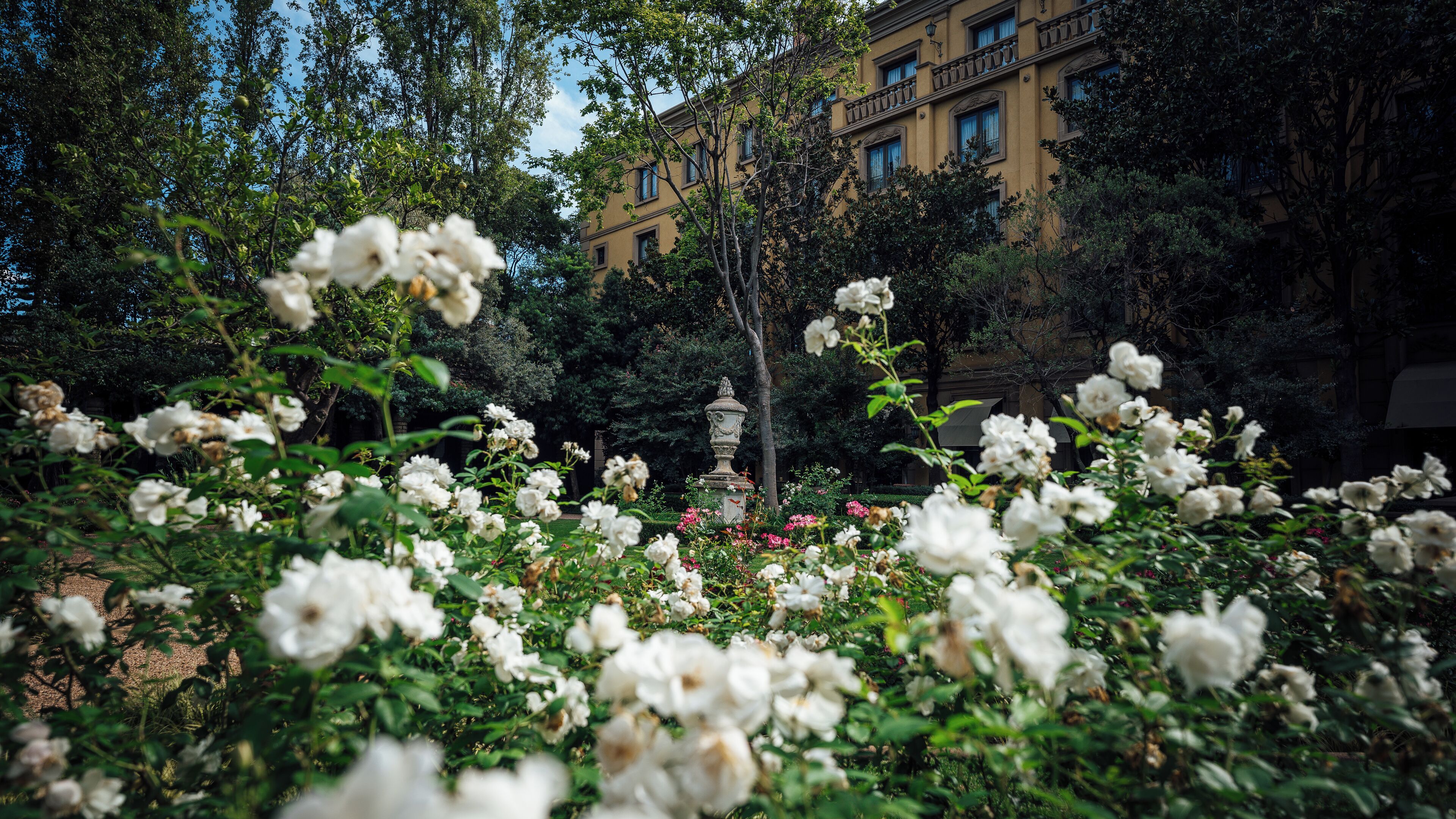 Photo - Palazzo Hotel