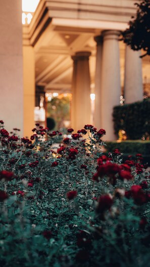 Front of property - Palazzo Hotel (Sandton)