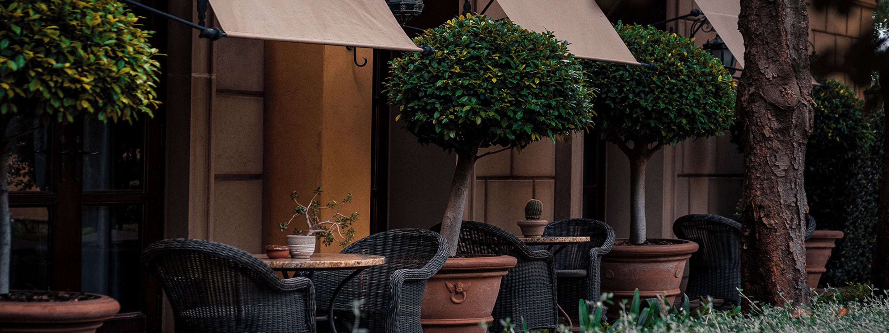 Photo - Palazzo Hotel