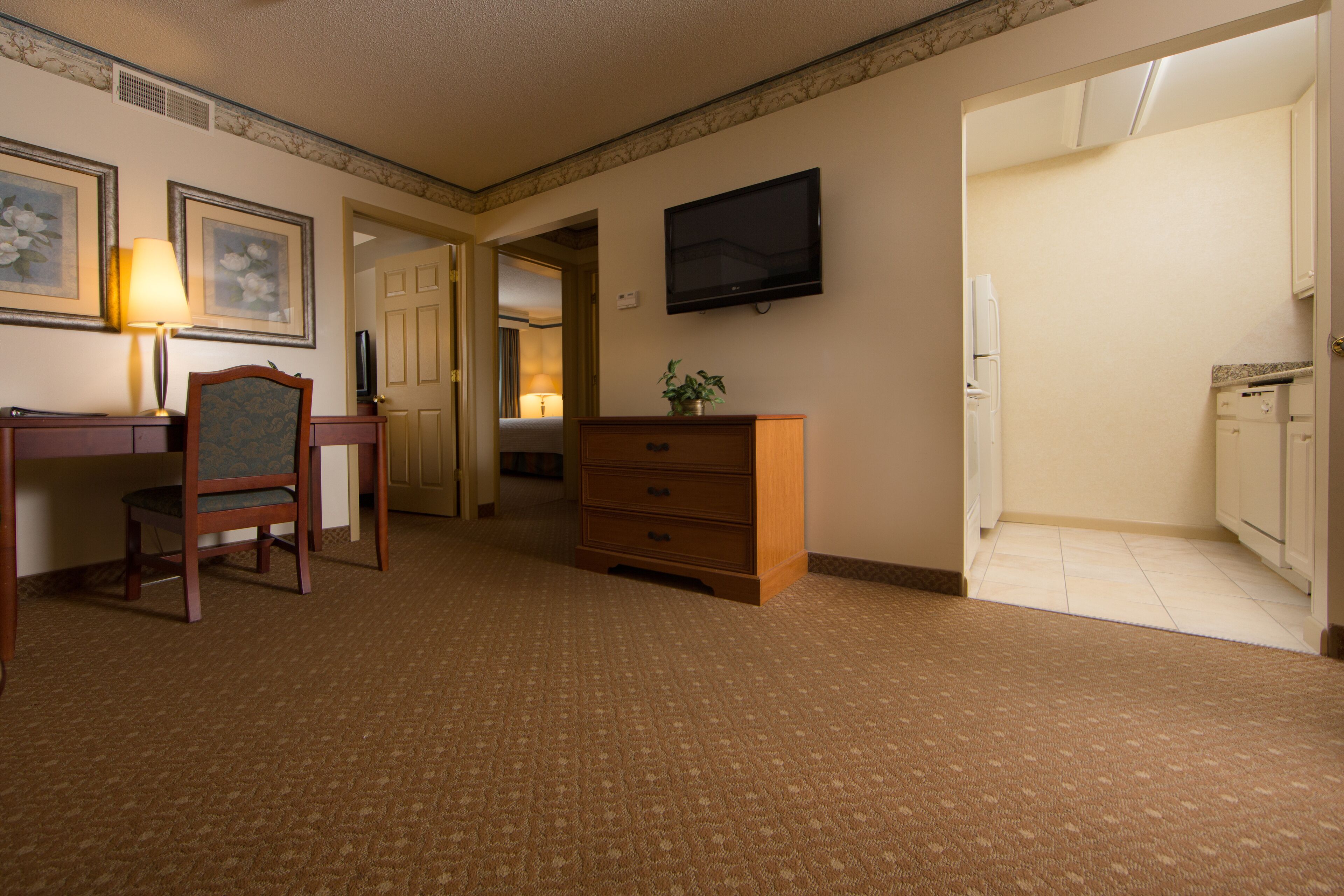 A hotel room with a desk, chair, television, dresser, and a small plant.