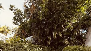 A swimming pool with a wooden deck and metal handrails, surrounded by lush greenery and potted plants. - The Independent Inn - Formerly Heron House Court  (Key West)
