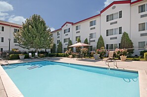 Outdoor pool, pool loungers