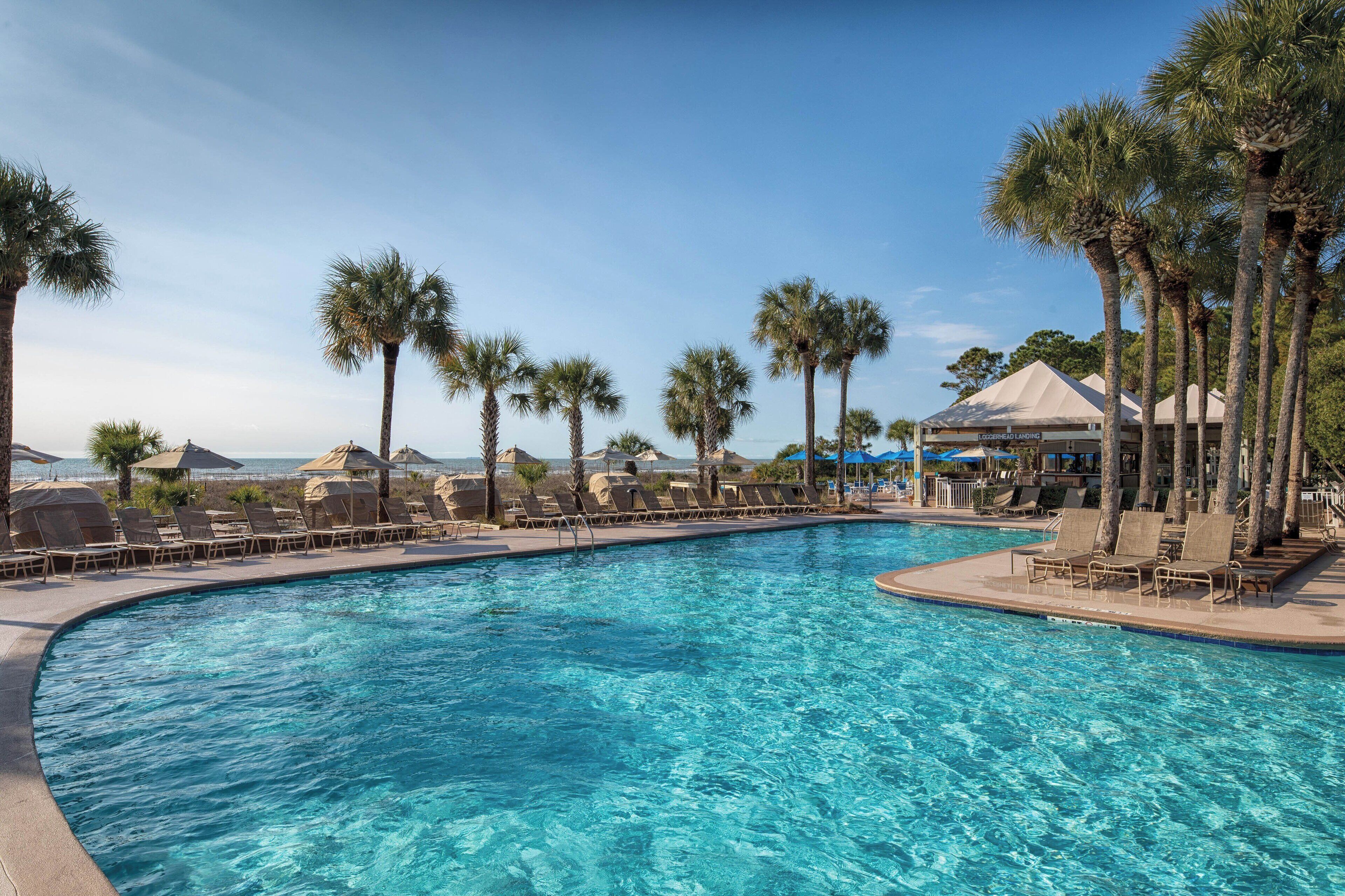 A pool area with lounge chairs and palm trees.