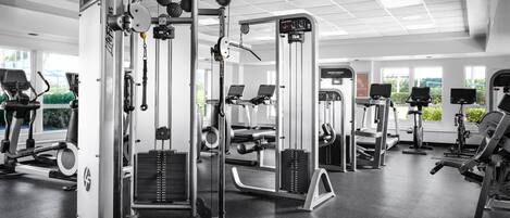 A gym with various exercise machines, a bench, and a treadmill.