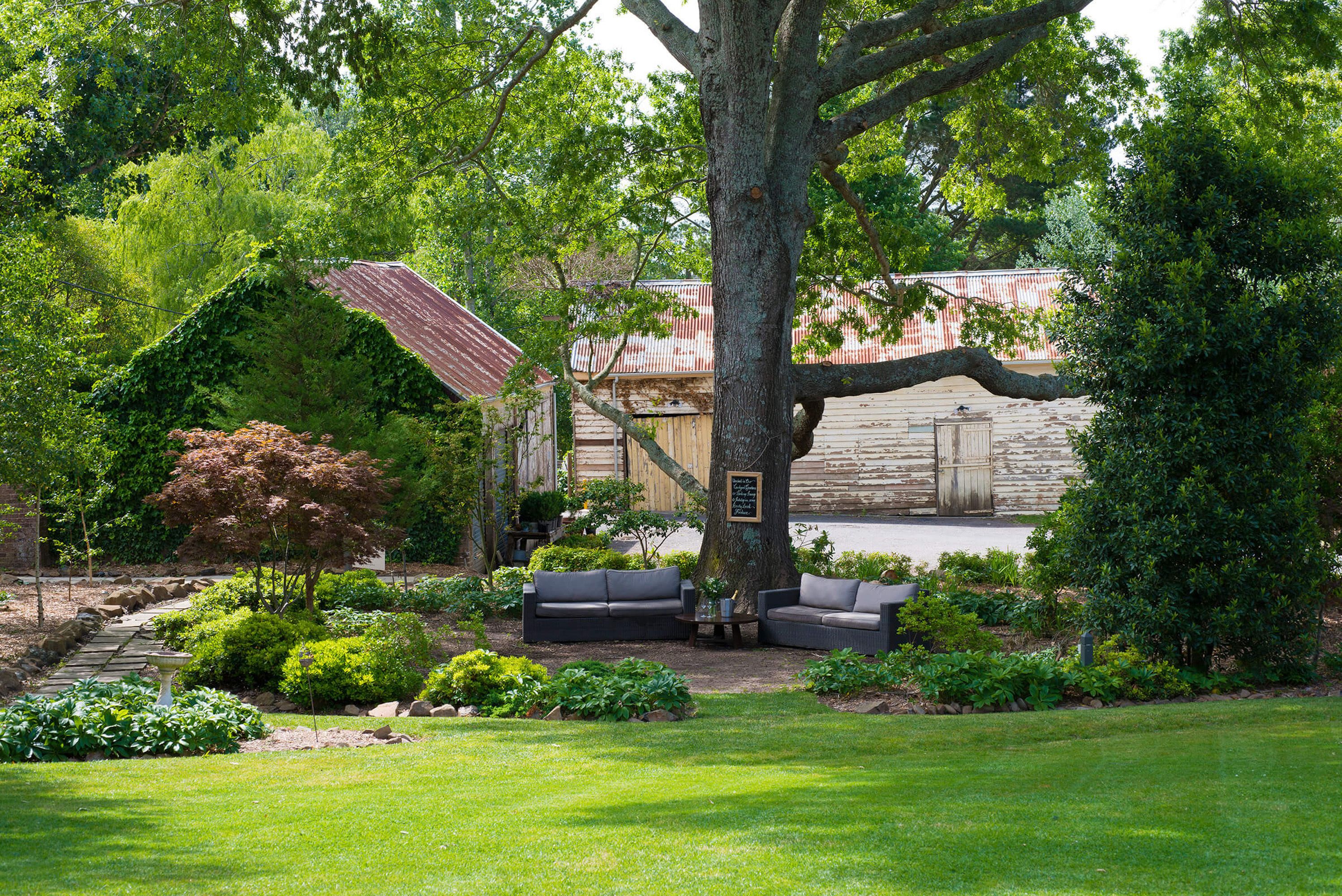 A garden with a large tree, a wooden fence, and a building with a red roof.