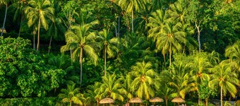 Pearl Farm Beach Resort