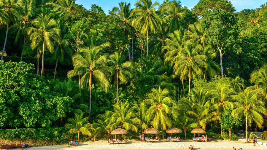 Pearl Farm Beach Resort