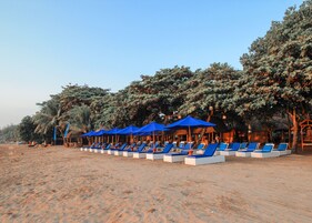 A beachside resort with rows of sun loungers under blue umbrellas, surrounded by dense foliage.