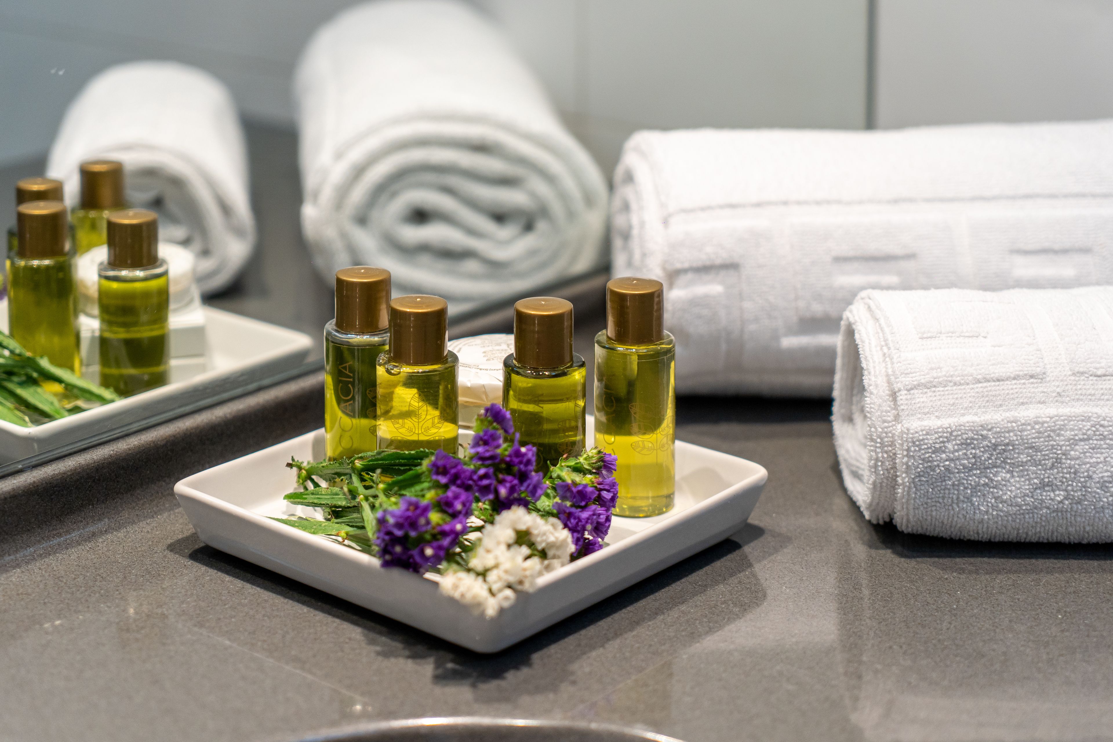 deluxe twin room, 2 single beds | bathroom amenities | combined shower/bathtub, hair dryer, bathrobes, slippers