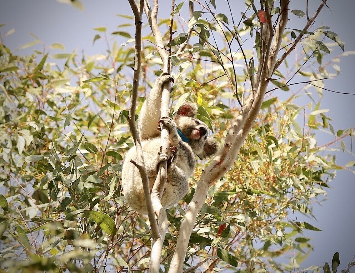 جولات سياحية بيئية