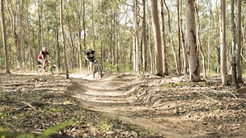 Un sendero boscoso con dos ciclistas.