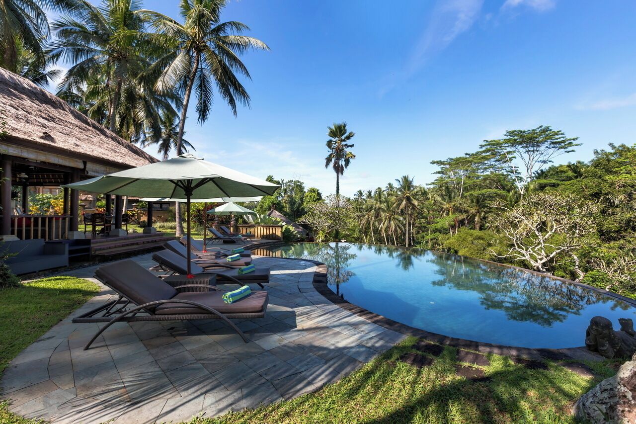 A poolside area with lounge chairs and umbrellas, surrounded by lush greenery and palm trees.
