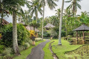 A pathway leading through a lush garden with palm trees and a small pond. - Villa Semana Resort & Spa (Ubud)