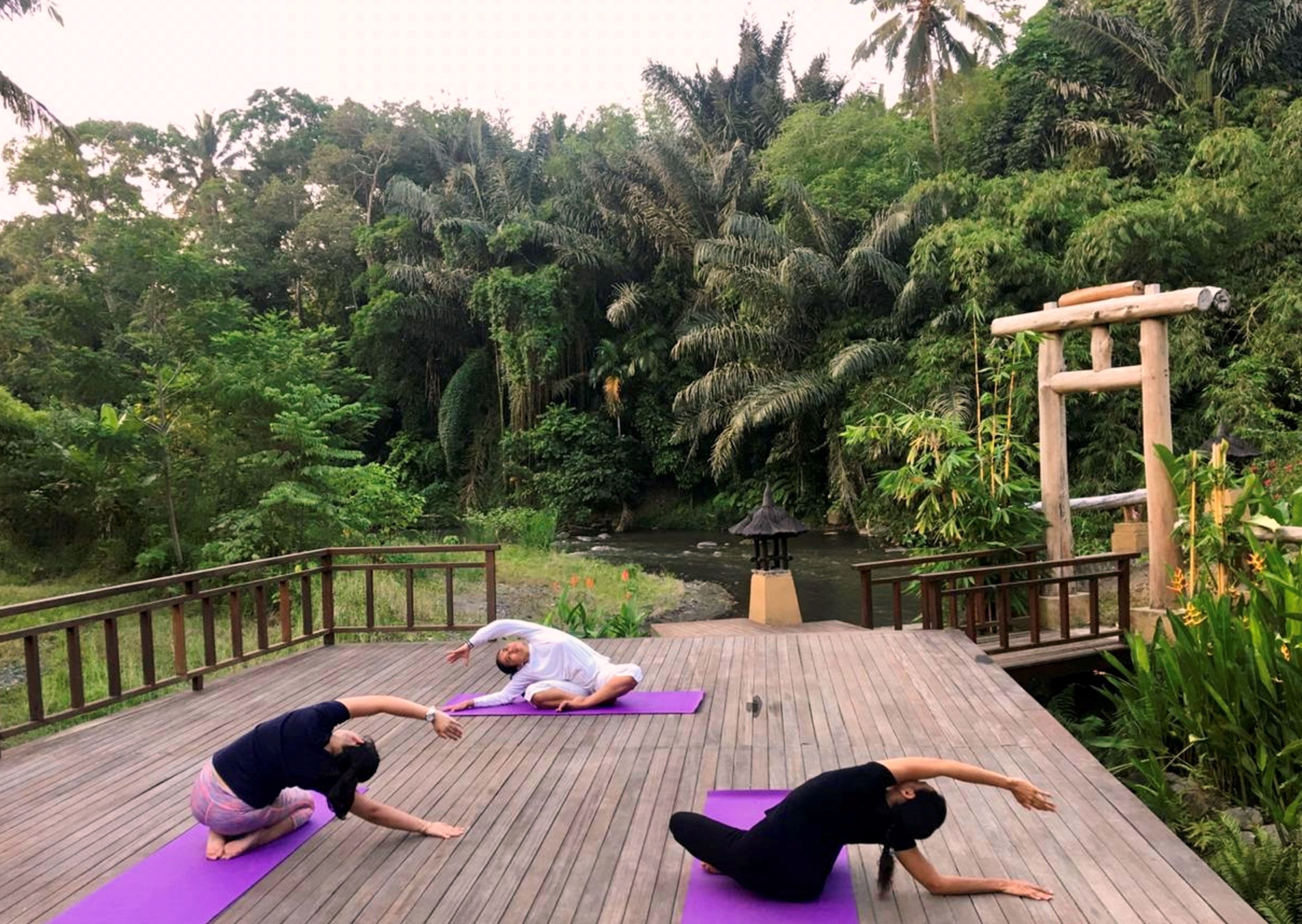 Una terraza de madera con tres personas practicando yoga sobre esterillas moradas, rodeado de exuberante vegetación y un pequeño estanque.
