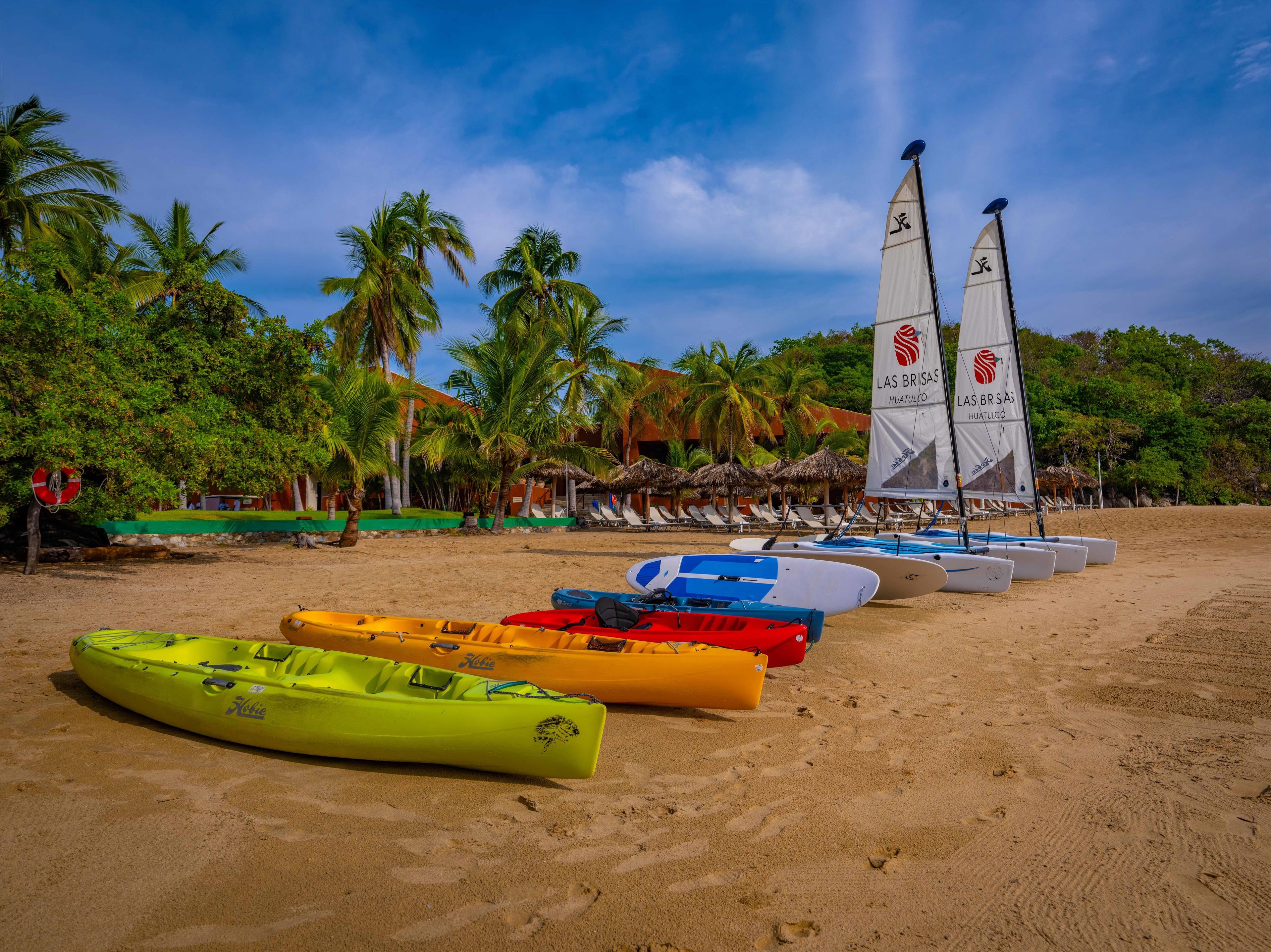 A beach with several colorful kayaks and a sailboat with sails, surrounded by palm trees and beach umbrellas.