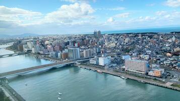 An aerial view of a city with a river, bridges, and buildings.