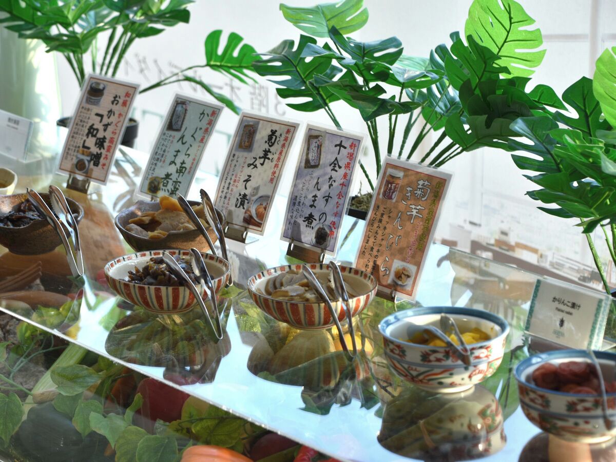 A display of traditional Japanese sweets and desserts with accompanying labels, set against a backdrop of lush green plants.