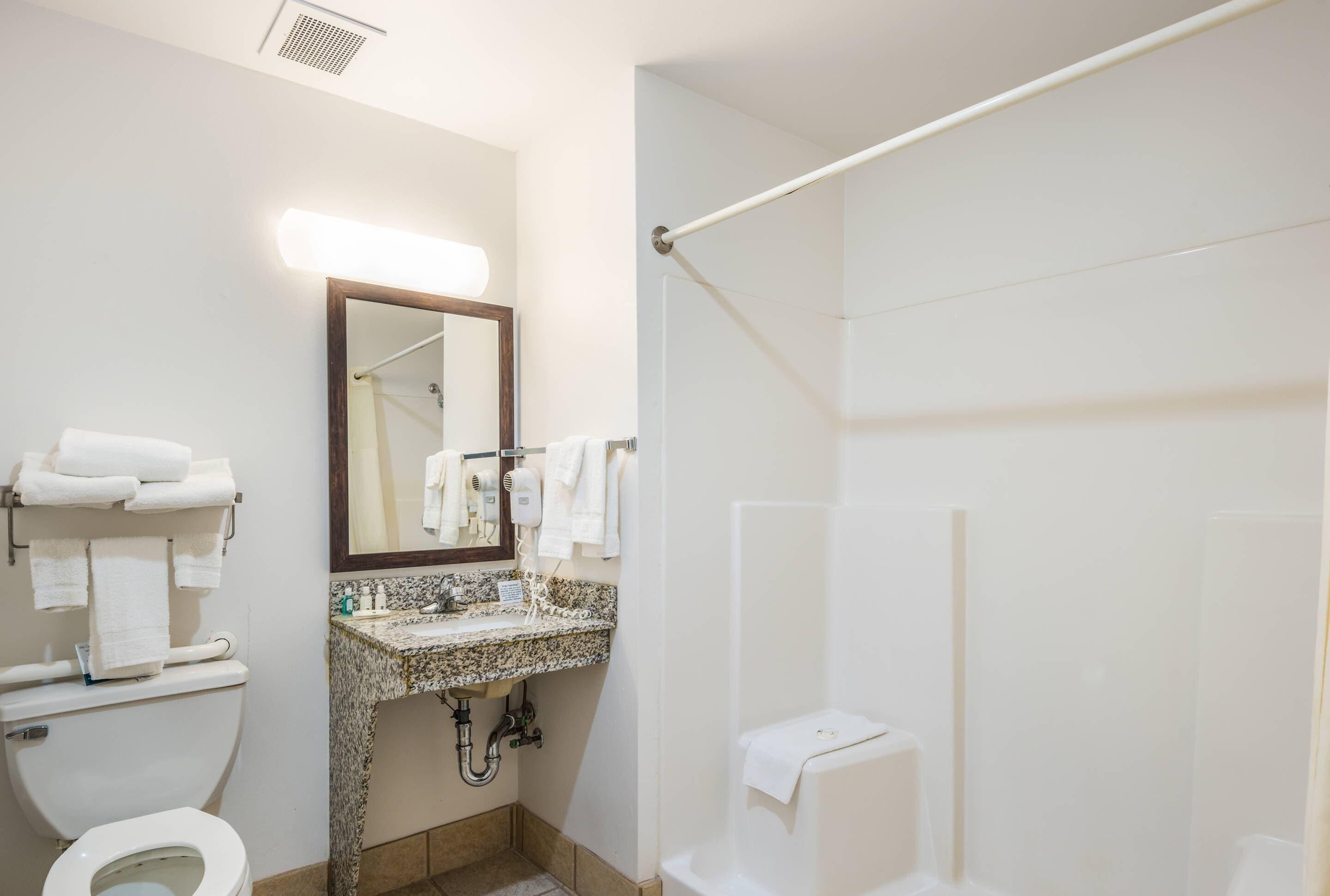 A bathroom with a toilet, sink, mirror, and shower.