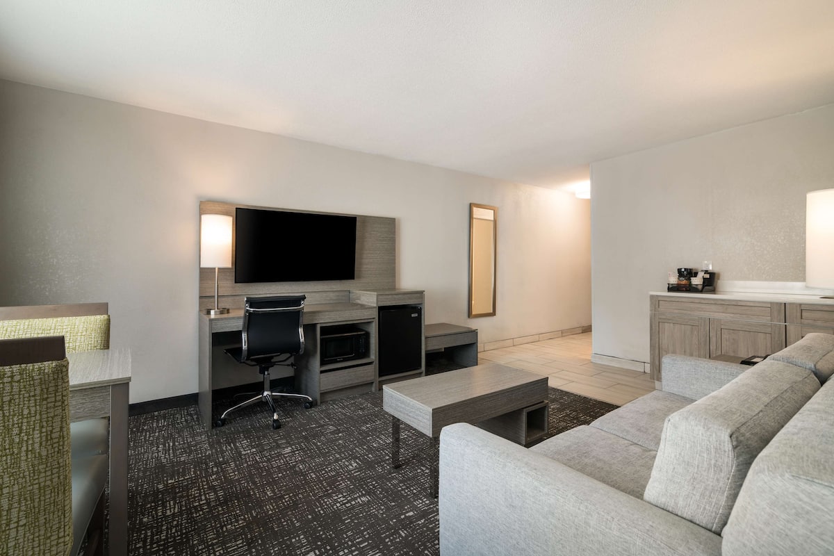 suite, 1 king bed, non smoking (with single sofabed) | desk, laptop workspace, iron/ironing board, free wifi