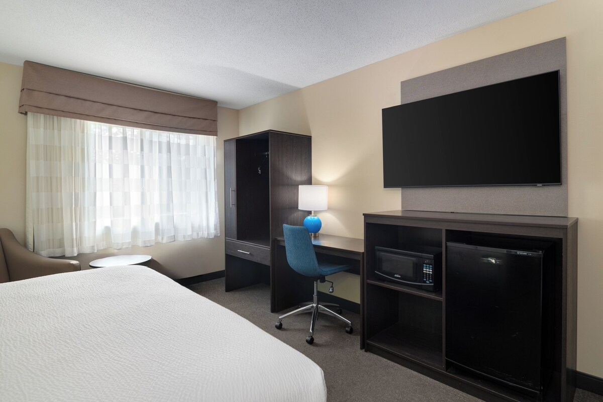 Premium bedding, desk, laptop workspace, blackout drapes