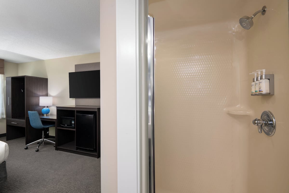 A hotel room with a shower, a desk with a chair, a microwave, and a TV on the wall.