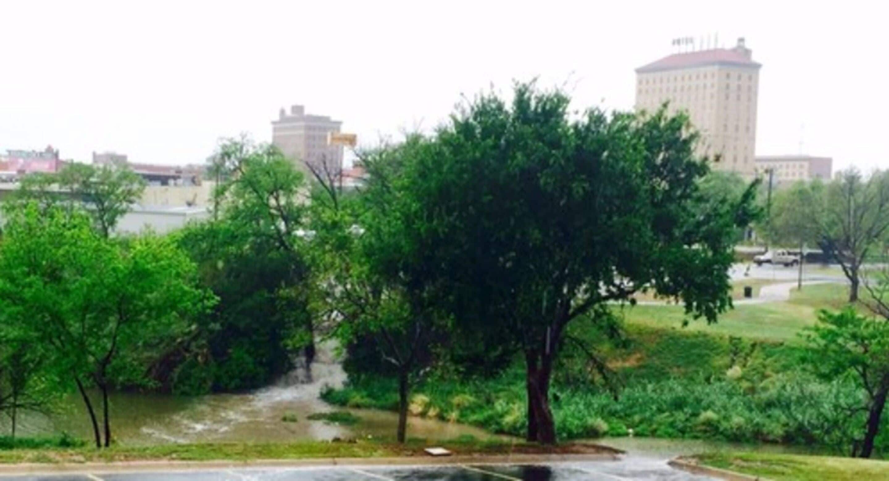 A park with trees and a building in the background.