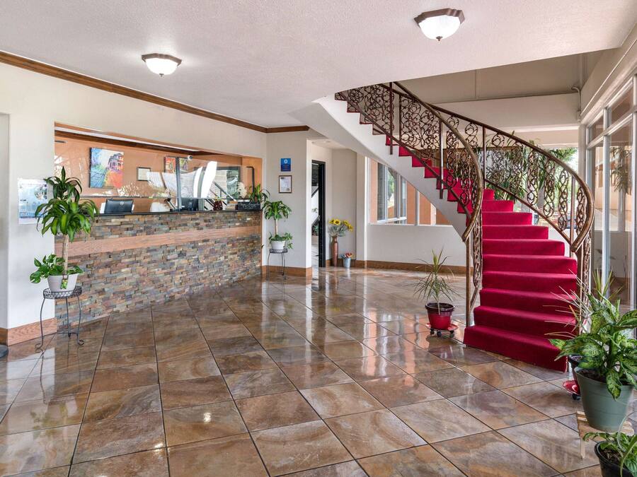 A spacious lobby with a red carpeted staircase, a reception desk, and various potted plants.