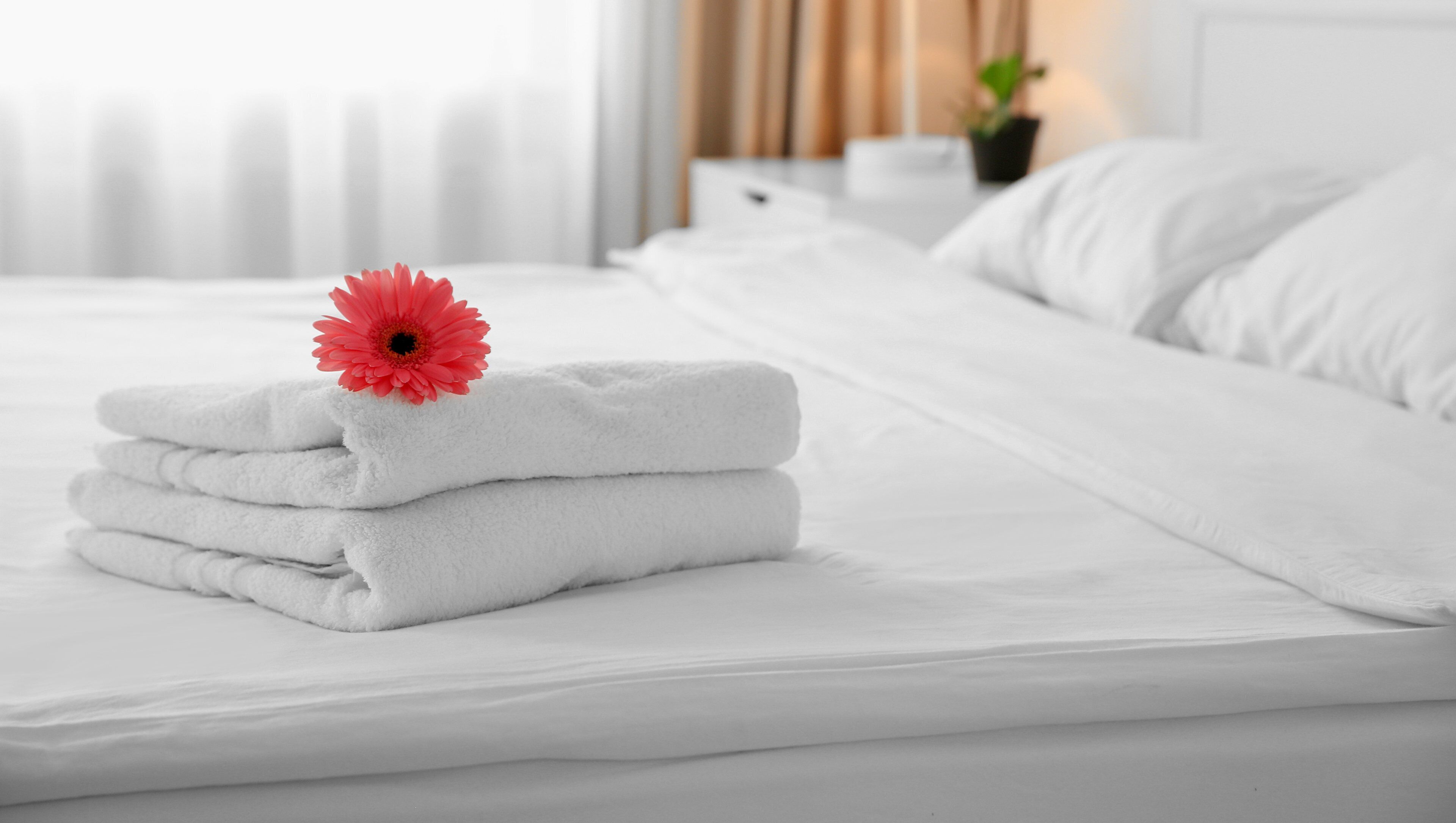 Un lit bien fait, avec des serviettes blanches pliées et une fleur rouge posée sur le dessus.