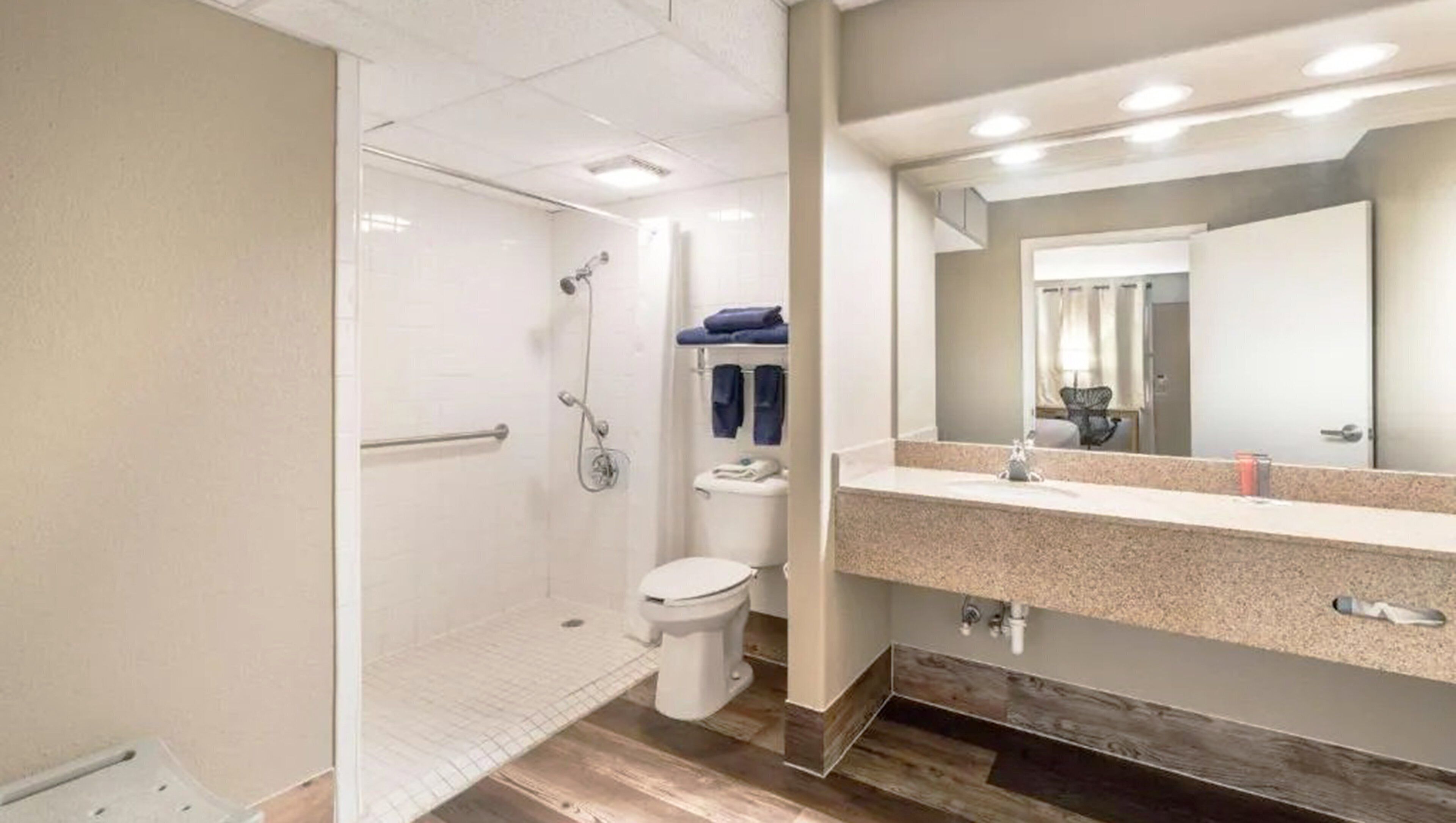 A modern bathroom with a walk-in shower, a toilet, and a vanity with a mirror.