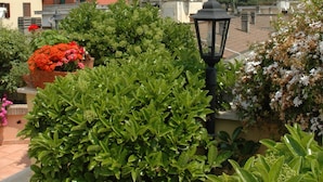 View from property - Aurelia Residence (Rome)