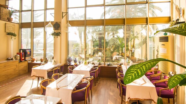 Un restaurant doté de grandes fenêtres, de tables en bois, de chaises violettes et de diverses plantes.