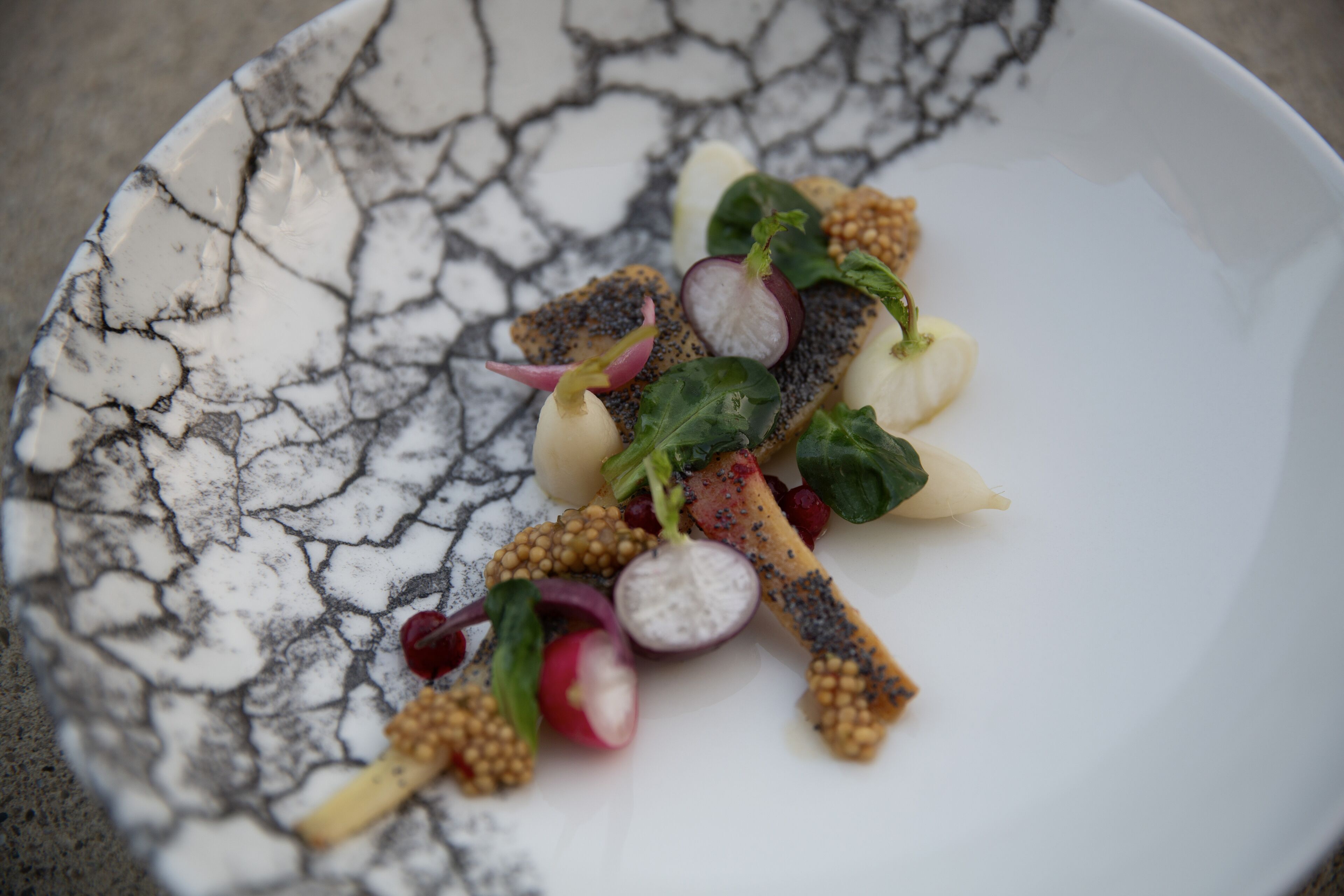Un plato blanco con un diseño agrietado, que contiene una ensalada de rábanos, verduras y semillas.