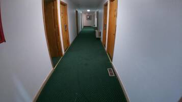 A corridor with carpeted flooring, wooden doors, and a light fixture on the ceiling.