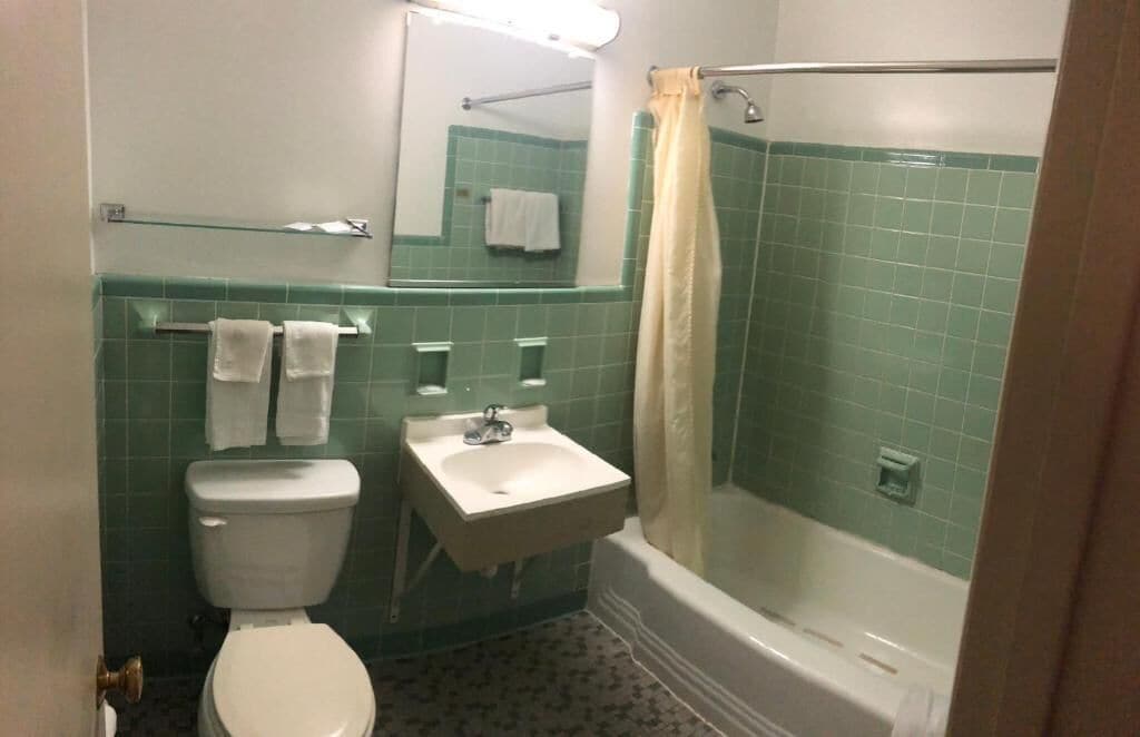 Une salle de bain avec des toilettes, un lavabo et une douche.