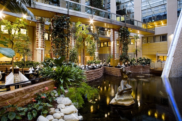 FrĂŒhstĂŒck, Abendessen, internationale KĂŒche, Blick auf den Garten